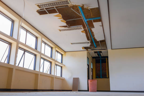 Best Basement water damage restoration  in Pottsville, PA