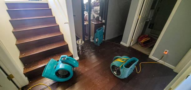 Best Water damage restoration experts  in Pottsville, PA