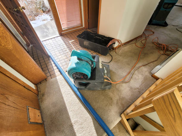 Best Residential water damage restoration  in Pottsville, PA