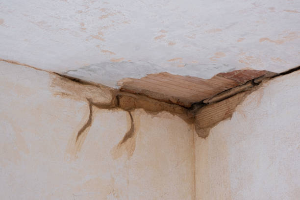 Best Water damage restoration services  in Pottsville, PA