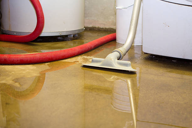 Best 24-hour water damage restoration  in Pottsville, PA
